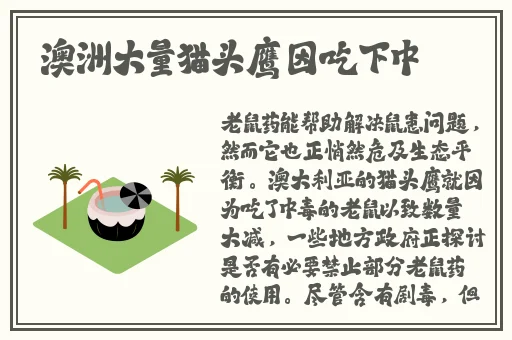 仙踪林入口免费观看
